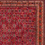 IR-SHZ-14008 - Image 2